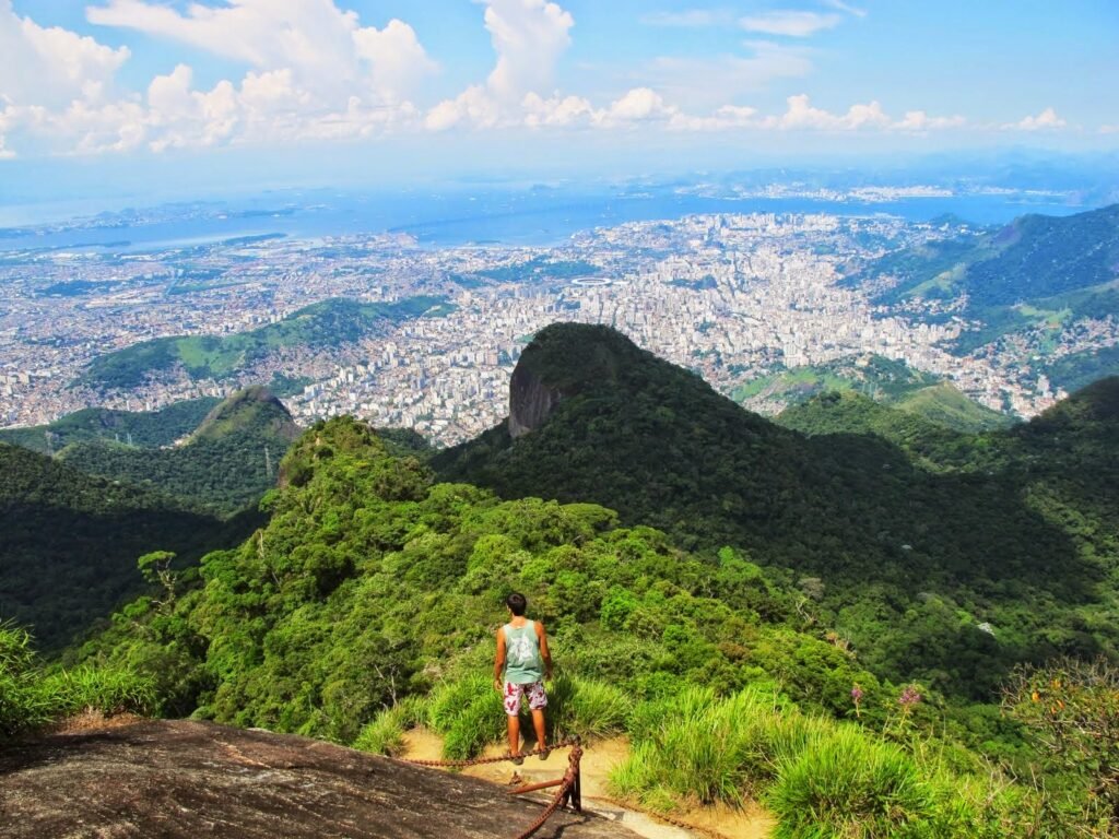 Floresta da Tijuca